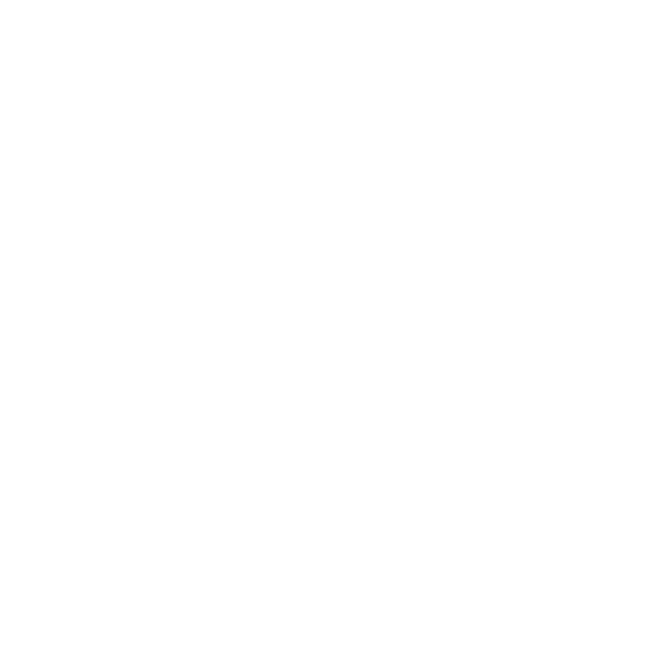 CGP Logo white